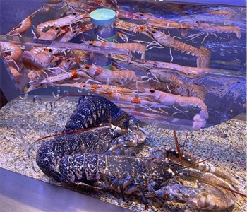 FISH AND SEAFOOD - Image 1