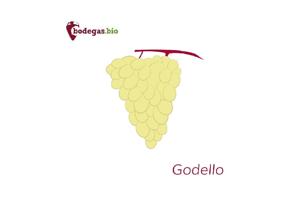 GODELLO - Imagen 1
