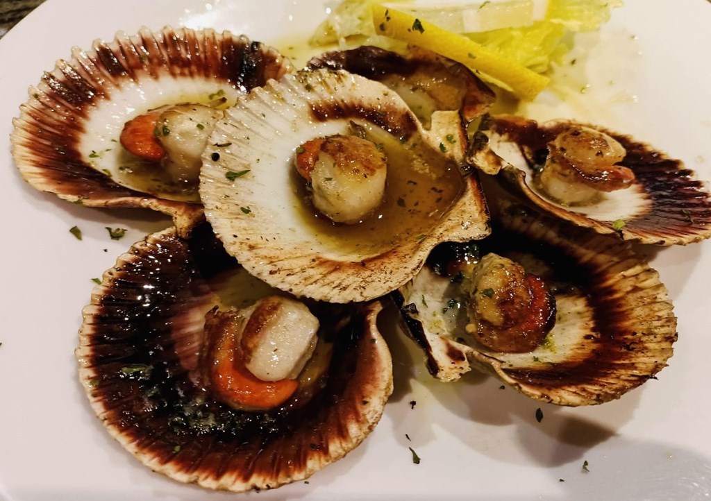 VIEIRAS DEL PACIFICO  - Imagen 1