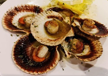 VIEIRAS DEL PACIFICO  - Imagen 1